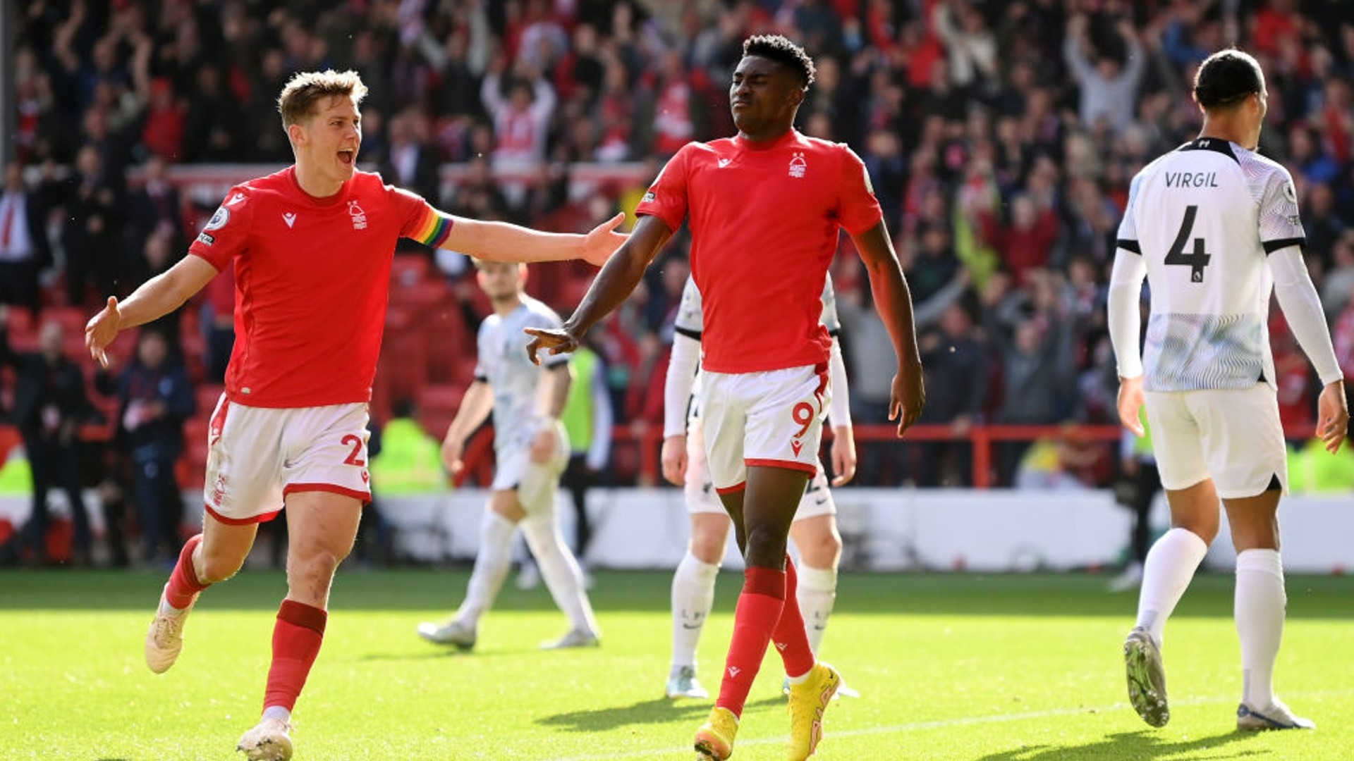 社会文化中 社会文化中