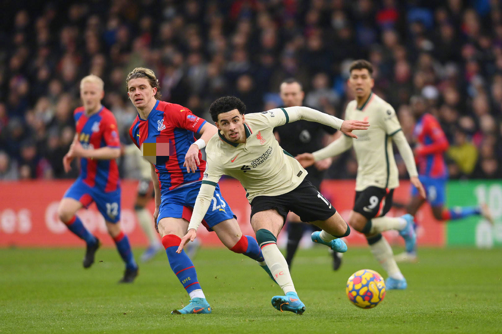 這一舉動不 這一舉動不